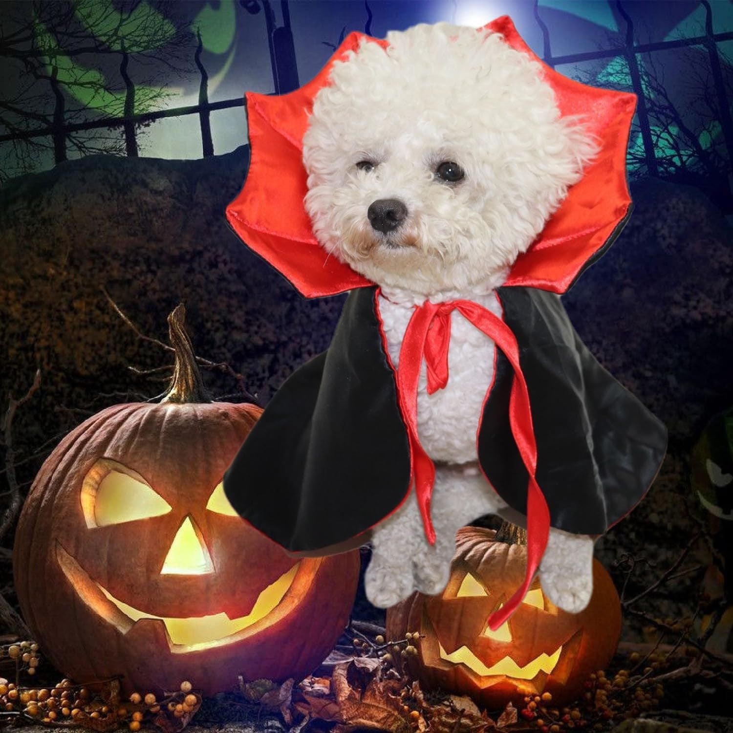 🧙 “Que tu peludo sea parte de la magia con nuestros productos de Halloween para mascotas.”